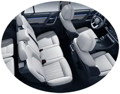 Seguridad BJ60